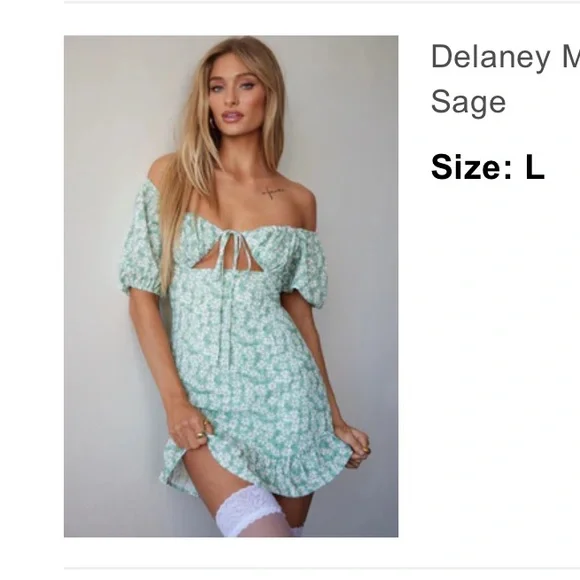 Fashion Nova Delaney Mini Dress